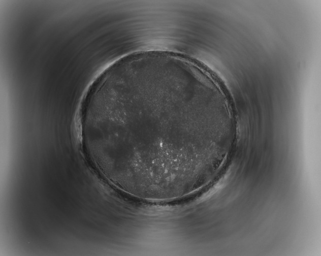 X0000094940925200711291350
