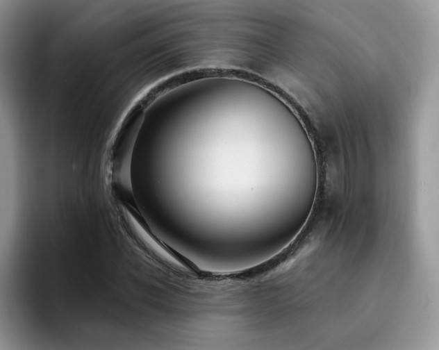 X0000094940926200711291350