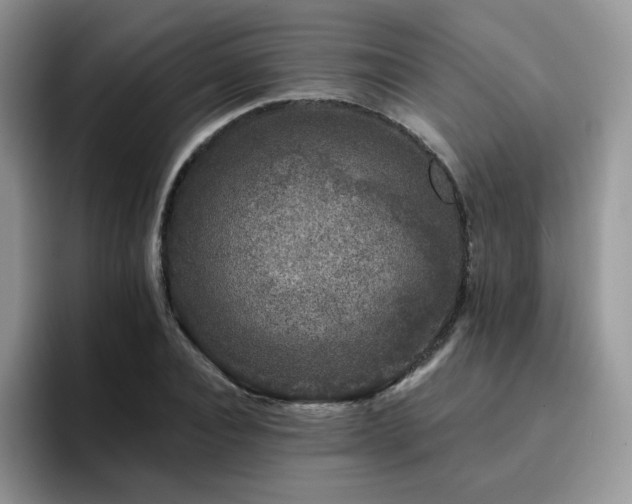 X0000094940928200711291350