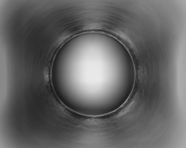 X0000094940929200711291350