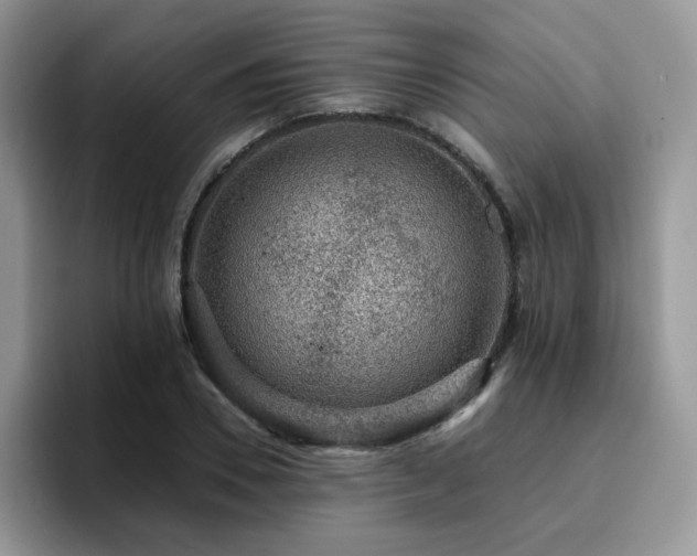 X0000094940930200711291350