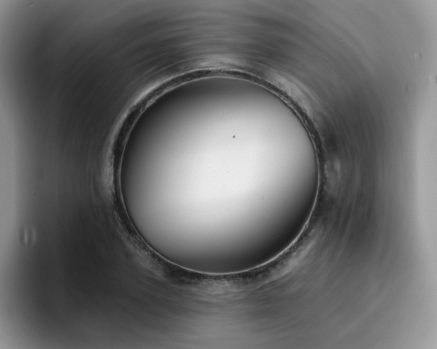 X0000094940931200711291350