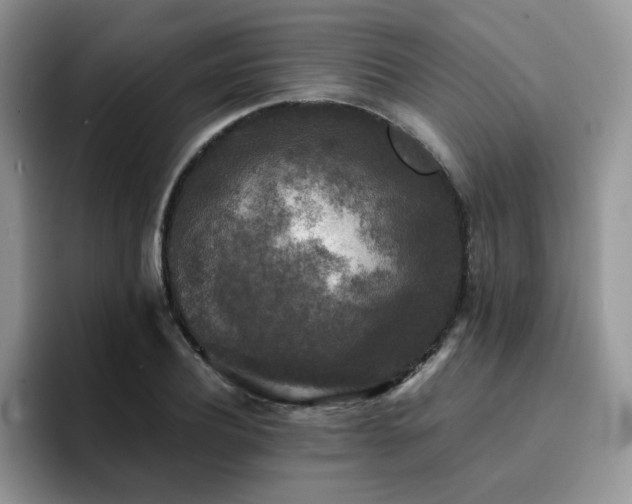 X0000094940932200711291350