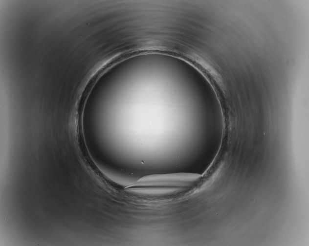 X0000094940933200711291350