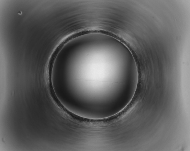 X0000094940934200711291350