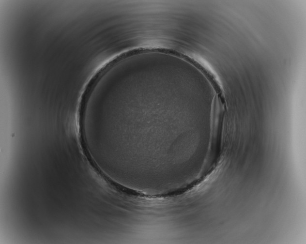 X0000094940935200711291350