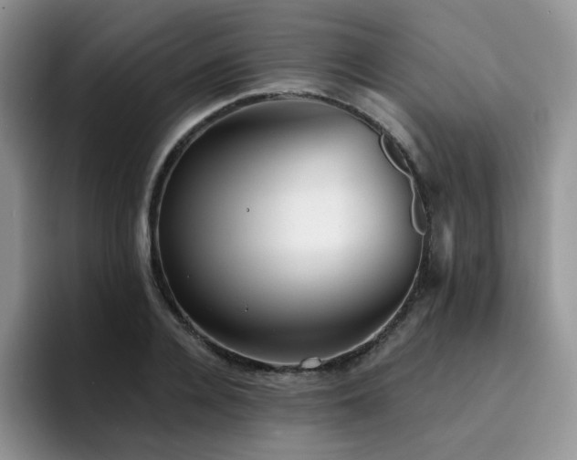 X0000094940936200711291350