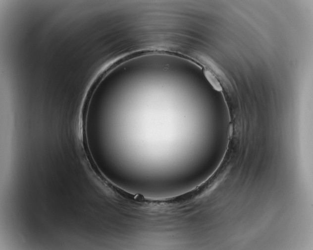 X0000094940940200711291350