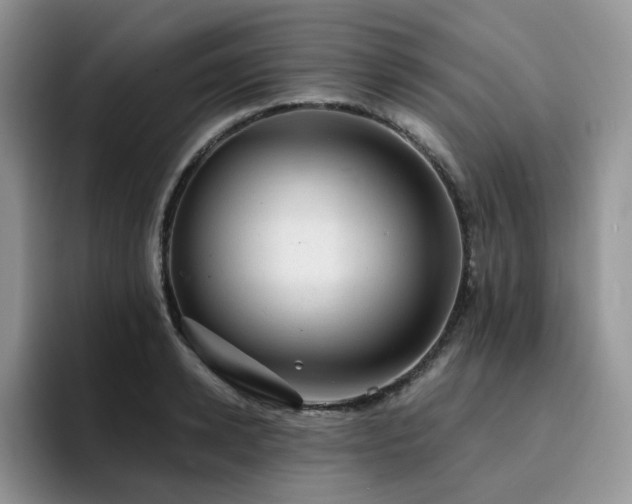 X0000094940942200711291350
