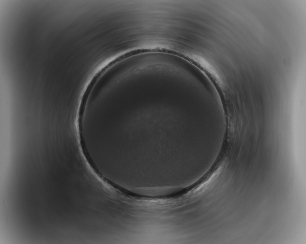 X0000094940943200711291350