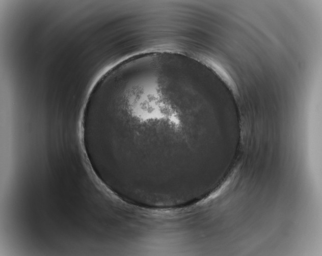 X0000094940944200711291350