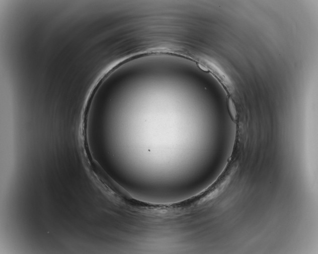 X0000094940948200711291350