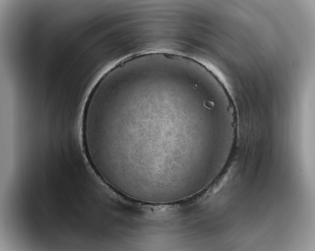 X0000094940949200711291350