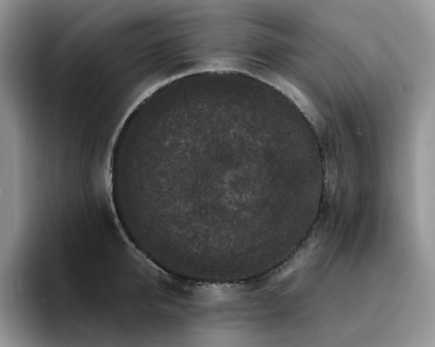 X0000094940950200711291350