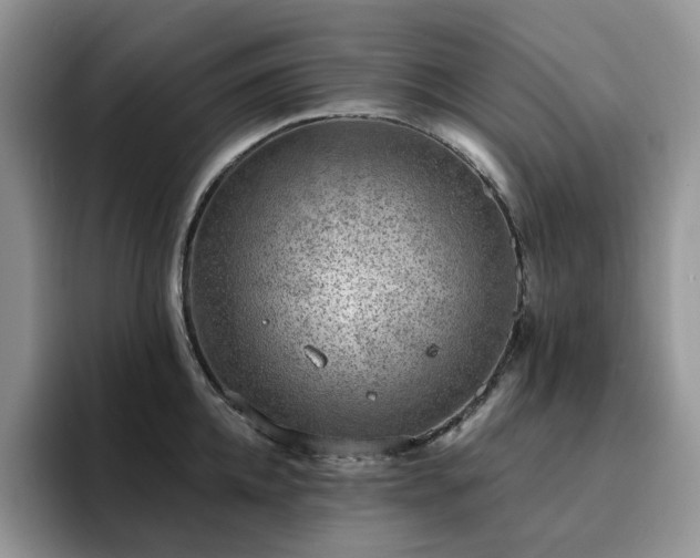 X0000094940952200711291350