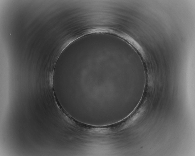 X0000094940953200711291350