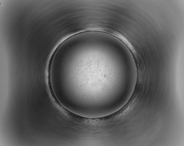 X0000094940955200711291350