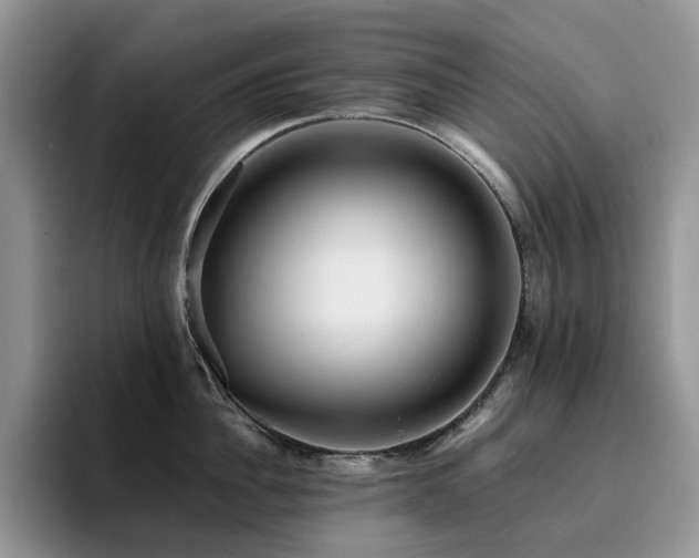 X0000094940956200711291351