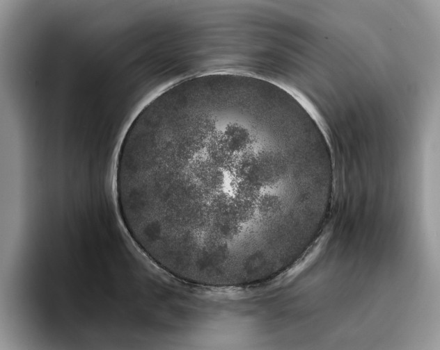 X0000094940957200711291351