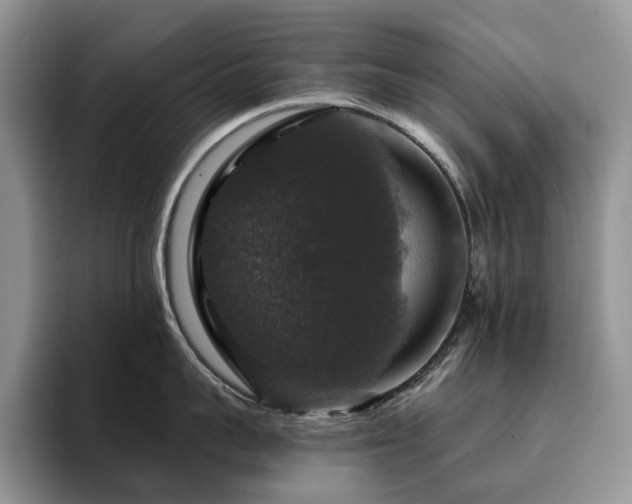 X0000094940959200711291351