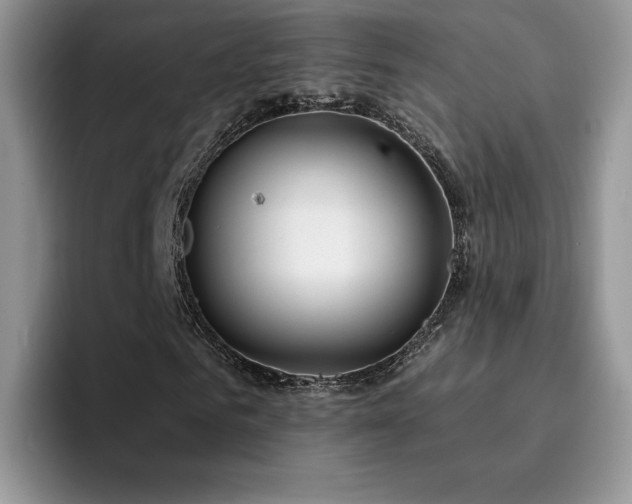 X0000094940961200711291350