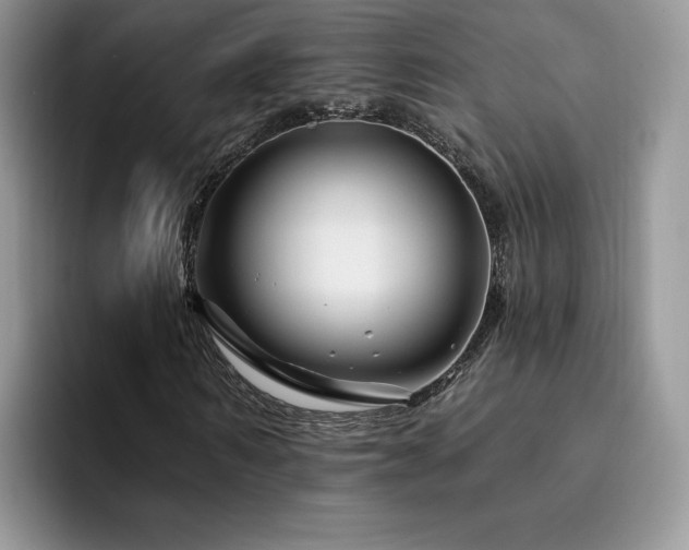 X0000094940962200711291350