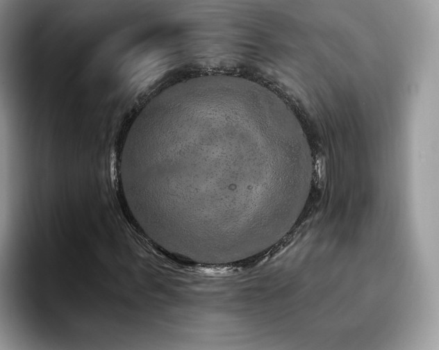 X0000094940963200711291350