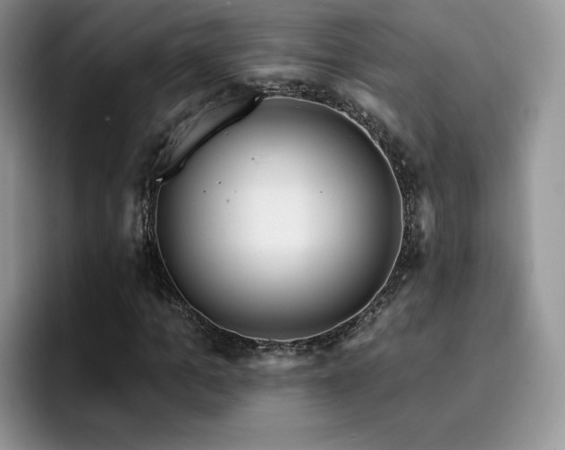 X0000094940965200711291350