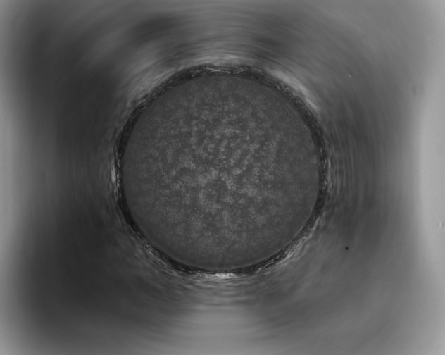 X0000094940966200711291350