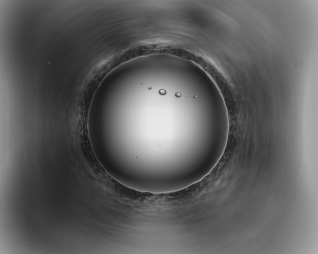 X0000094940967200711291350