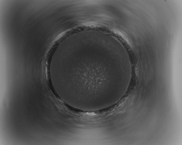 X0000094940968200711291350