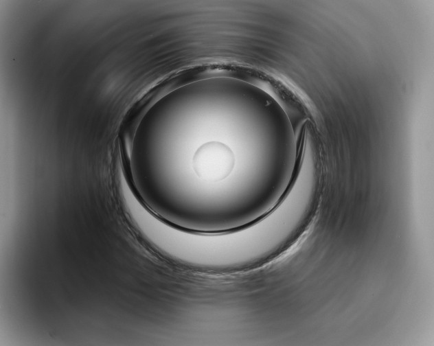 X0000094940969200711291350