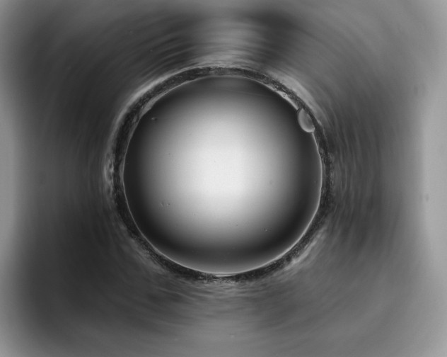 X0000094940971200711291350