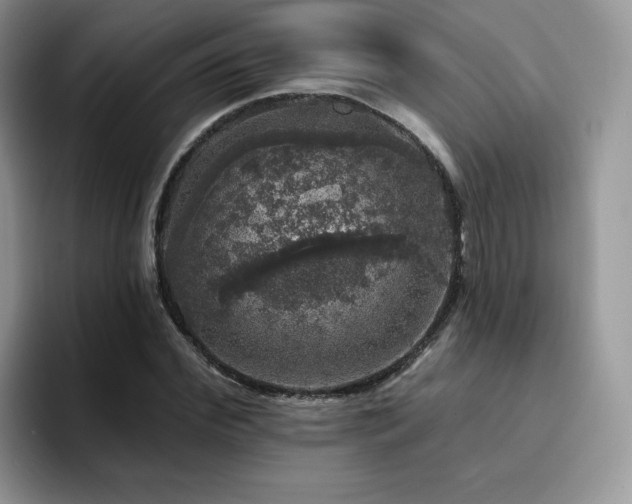 X0000094940972200711291350