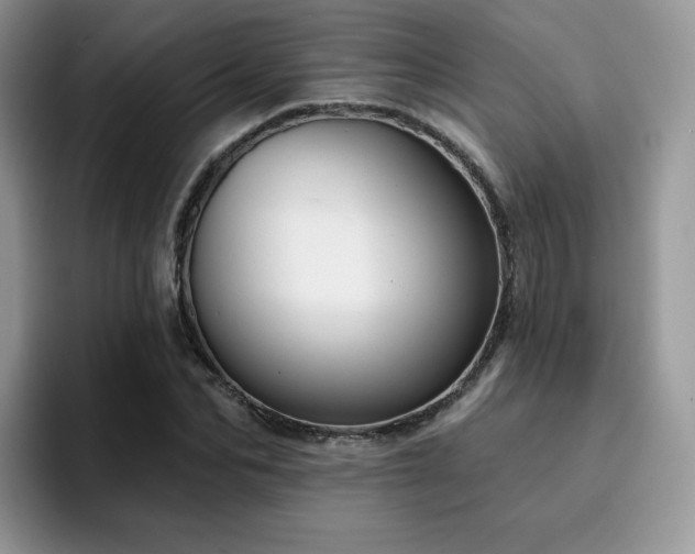 X0000094940974200711291350