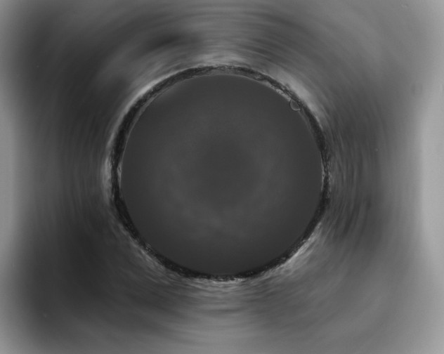 X0000094940975200711291350