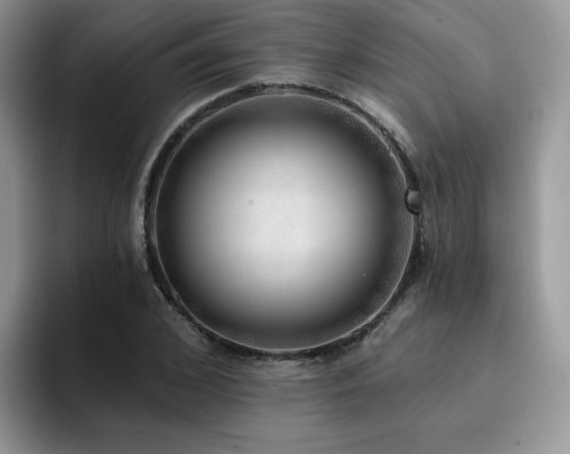 X0000094940976200711291350