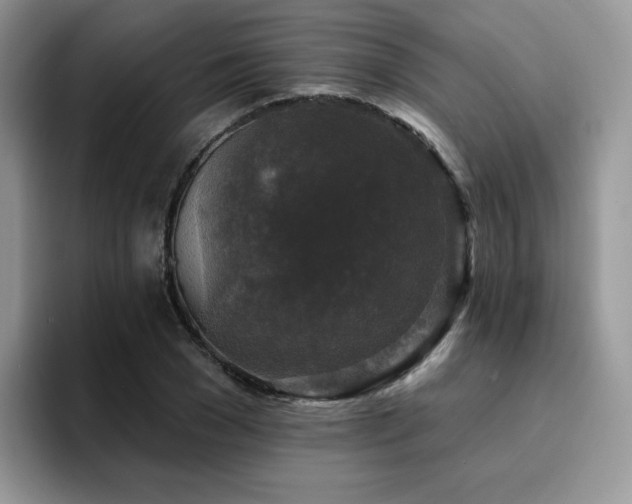 X0000094940977200711291350