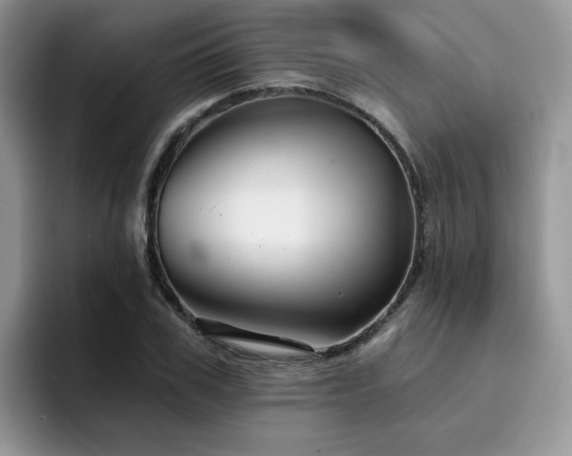 X0000094940979200711291350