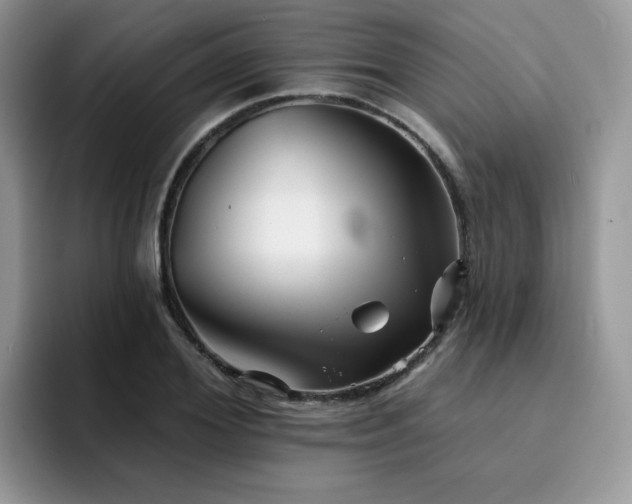 X0000094940980200711291350