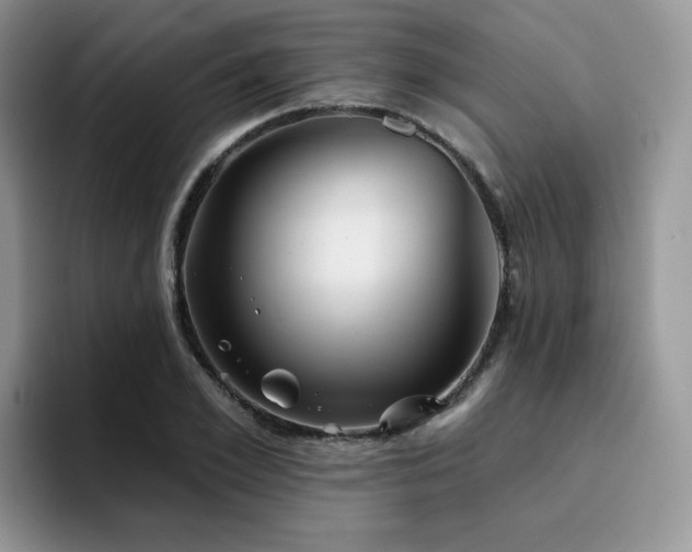 X0000094940981200711291350