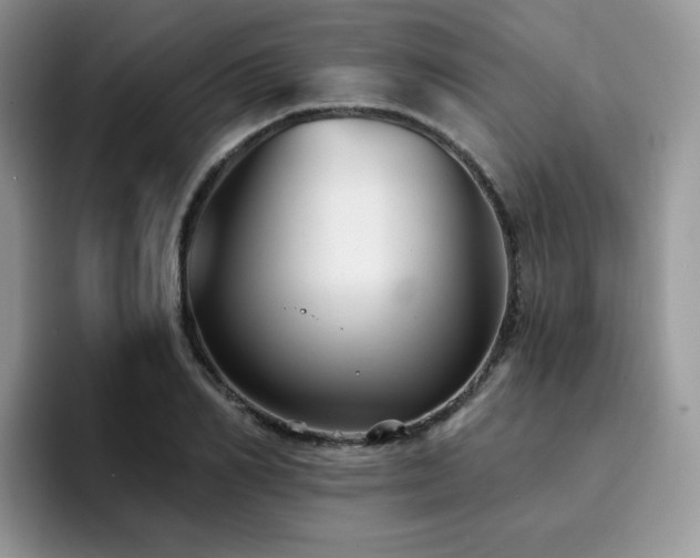 X0000094940982200711291350