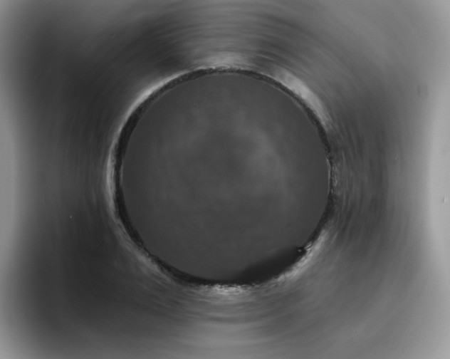 X0000094940983200711291350