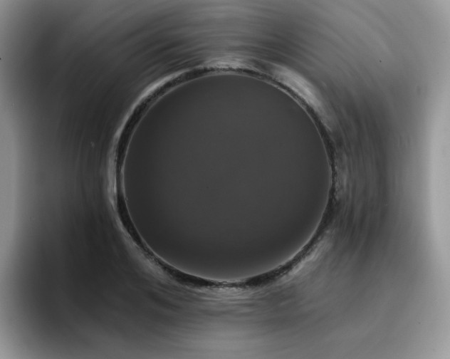 X0000094940984200711291350