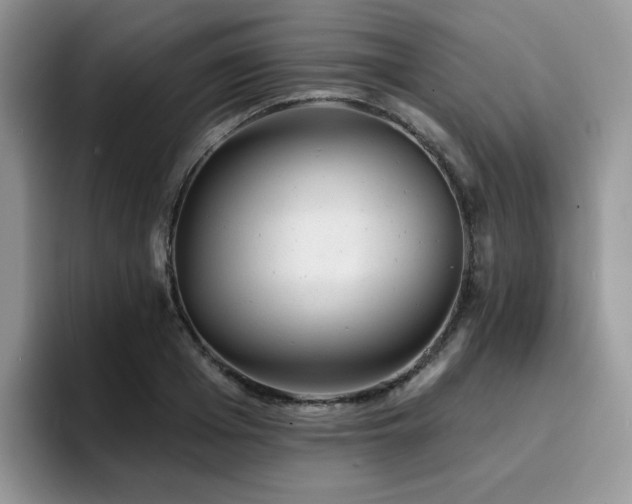 X0000094940985200711291350