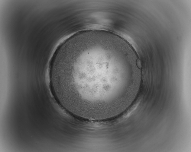 X0000094940987200711291350