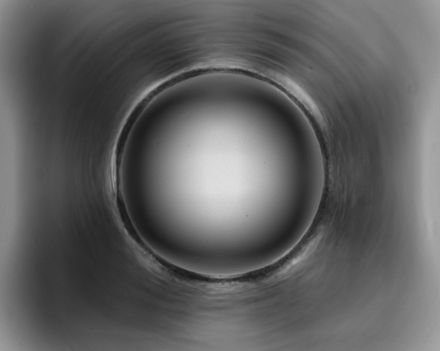 X0000094940988200711291350