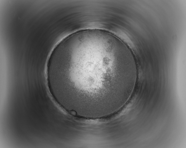 X0000094940990200711291350