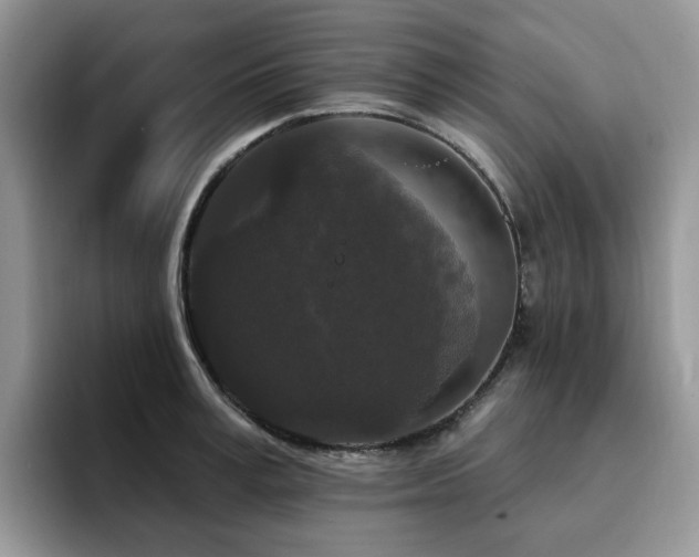 X0000094940995200711291349