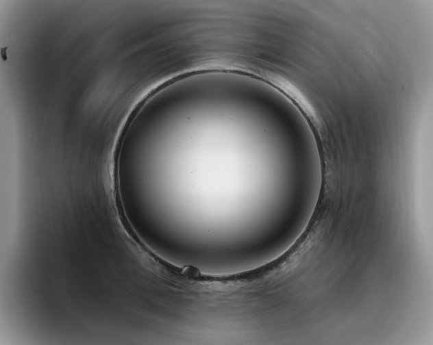 X0000094940996200711291349